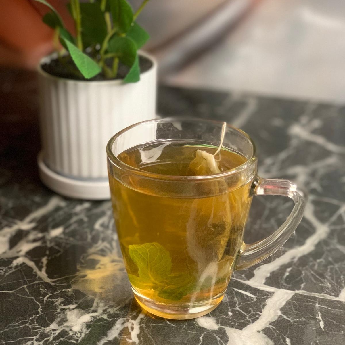 Le Notre Cafe | Green Tea